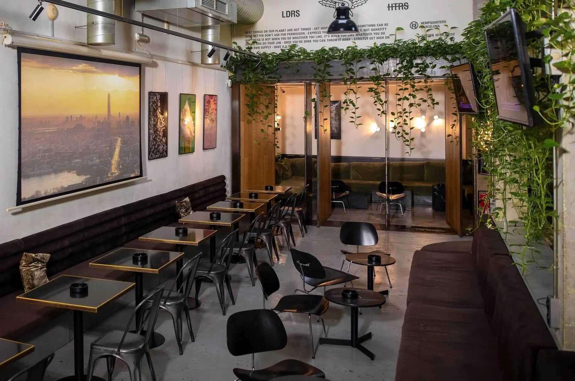 Modern lounge area at HQ cannabis club Barcelona with rows of tables, stylish black chairs, hanging plants, and wall art under warm lighting